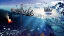 ۸۵ درصد ظرفیت دریاها مغفول مانده است