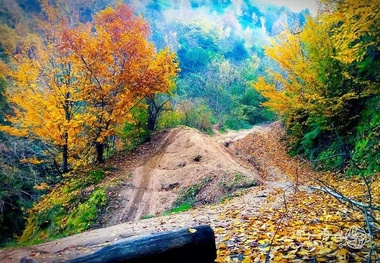 روستای پنو؛ طبیعتی بکر و کم‌ تر شناخته شده روستای لنگرود
