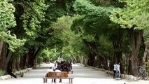 چرا کاتالیست‌ها مهم‌اند؟