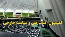 کمیسیون امنیت ملی مجلس سانحه سقوط هواپیمای اوکراینی را بررسی کرد