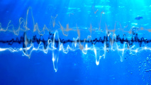 New propeller concept to reduce underwater noise