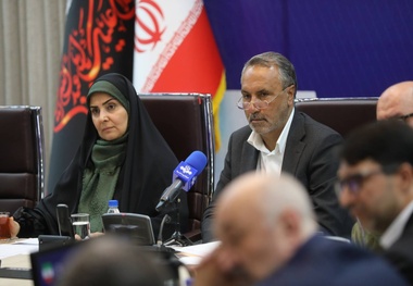 درخواست مجلس برای فعال‌ سازی فوری سامانه تم