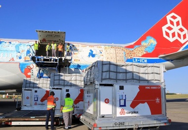 Budapest Airport plans animal facilities after horse transport