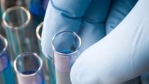 Off-specification sulphur fuels found in Antwerp