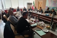  بررسی روند پیشرفت پروژه مشترک ایریکو و رجا

