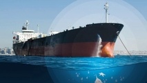 IMO infographic: Stopping spread of invasive species