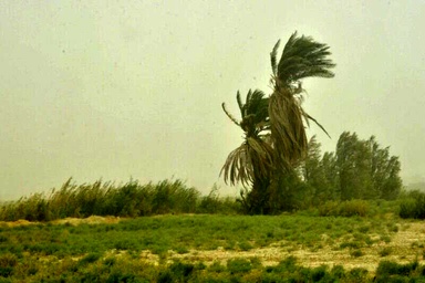 تندباد با سرعت ۹۴ کیلومتر مازندران را در نوردید