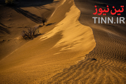 ریگ جن