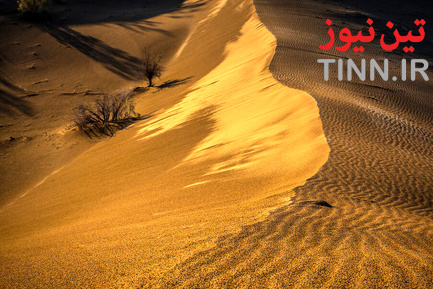 ریگ جن