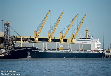 Two Killed in ‘Gas Leak’ Aboard Chinese Bulk Carrier -Reports