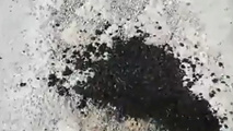 ترمیم آسفالت آنها و ترمیم آسفالت ما!