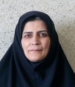 فروغ فاریابی