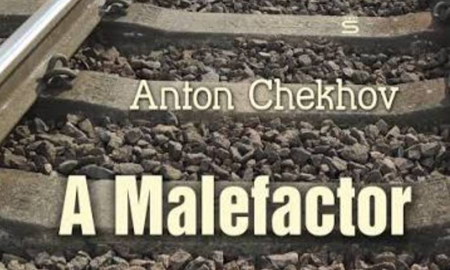 خلاصه کتاب «یک مجرم، یا متهم»، (A Malefactor)، اثر آنتوان چخوف/