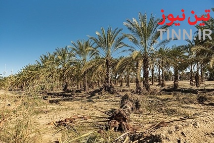 خسارت سیل در روستاهای« زرآباد سیستان و بلوچستان»