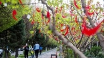 شهرداری تهران با بهره گیری از اتوبوس‌های دو طبقه گردشگری به استقبال از بهار می‌رود