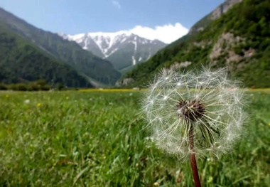 دشت دریاسر، بهشت استان مازندران + فیلم