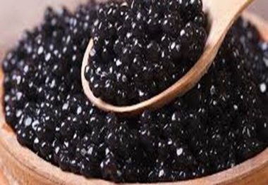 چرا صید ماهی خاویاری دریای خزر ممنوع شد؟