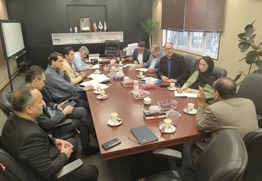 آغاز فعالیت تاکسی های برقی در شهر فرودگاهی امام خمینی