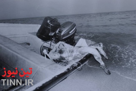 سی و چهارمین سالگرد ساقط شدن هواپیمای مسافربری در خلیج فارس