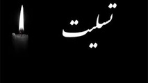 پیام تسلیت مدیرعامل صندوق پس‌ انداز کارکنان راه‌ آهن در پی شهادت رهبر معظم انقلاب
