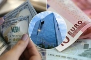 پرویزیان در همایش پولی و ارزی: کنترل نوسانات ارزی، محور اصلی سیاست گذاری بانک مرکزی
