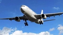 نگاهی به مصوبه اخیر دولت در حمایت از رجا و هما