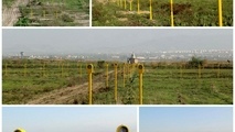 پایان عملیات نصب فیزیکی چراغ های تقرب دقیق فرودگاه گرگان