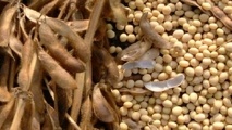 US exports to China reduced by 96%