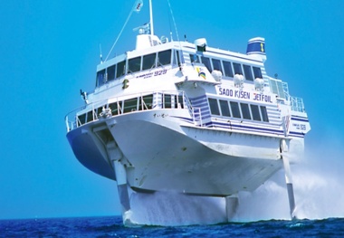 Over 80 Injured as High-Speed Hydrofoil Ferry Hits Whale in Japan
