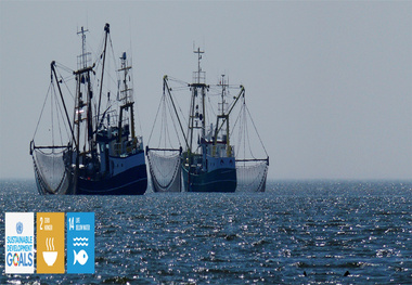 Six Illegal Foreign Fishers in Australian Waters Plead Guilty