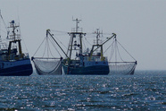 Six Illegal Foreign Fishers in Australian Waters Plead Guilty