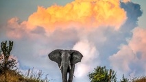 UGANDA PLANS TO BECOME CHAMPION OF TOURISM IN AFRICA