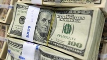 کشف بیش از 50 هزار دلار قاچاق در فرودگاه