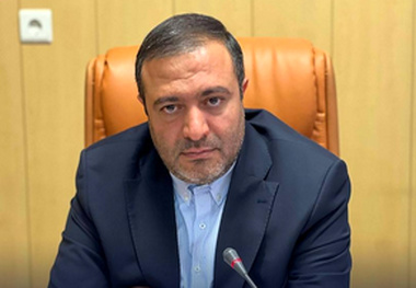 علیزاده: زمان تعریف پروژه‌های شاخص و سودآور فرا رسیده است