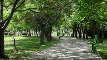 آماده سازی بوستان های شمال پایتخت برای شرایط اضطراری 