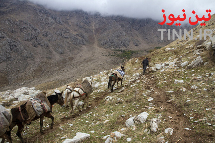 کولبر