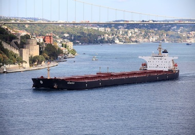 Diana Shipping Inc. Announces Delivery of the Kamsarmax Dry Bulk Vessel m/v Astarte