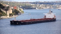 Diana Shipping Inc. Announces Delivery of the Kamsarmax Dry Bulk Vessel m/v Astarte