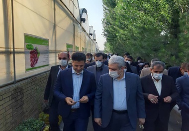 بازدید معاون رئیس جمهوری از یک شرکت دانش بنیان قزوین