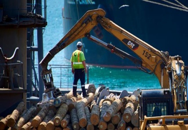 Six Workers Hospitalized after Incident at Napier Port
