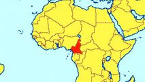 IMO focuses on maritime security strategy for Cameroon