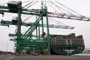  EU Soft Wheat Exports for 2025/26 Down 5%