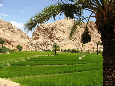 ازمیغان