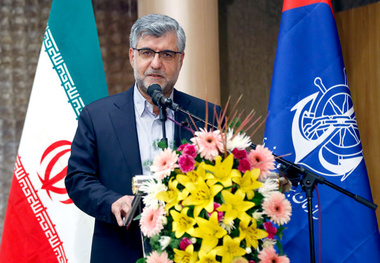تاکنون هیچ‌گونه بیماری از بنادر وارد کشور نشده است