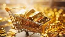 سکه ۳۳ هزار تومان گران شد/ نرخ دلار و ارزهای مهم افزایش قیمت داشتند
