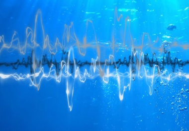 European countries must take action to reduce underwater noise, report says