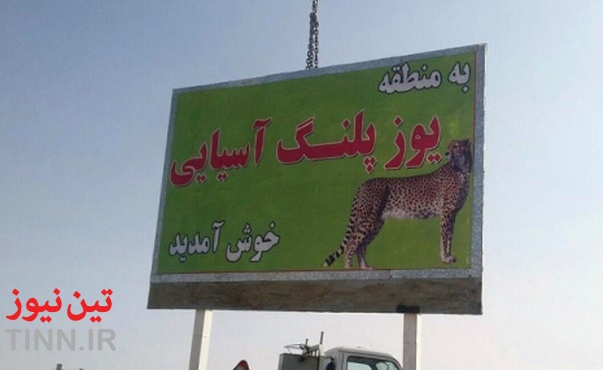 نقش یوزآسیایی برتابلوهای هشدار جاده‌ای / تلاش‌ برای داوم حیات‌وحش