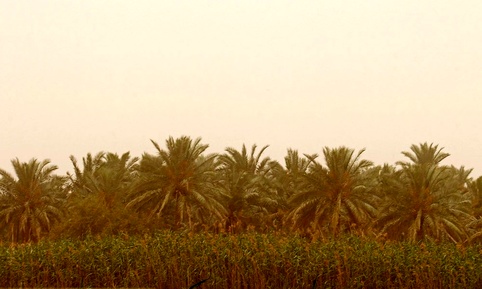گرد و خاک در آبادان