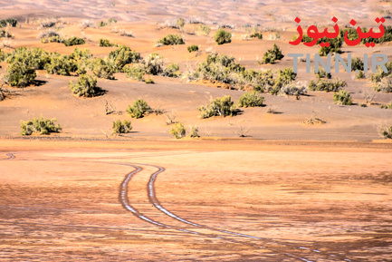 ریگ جن