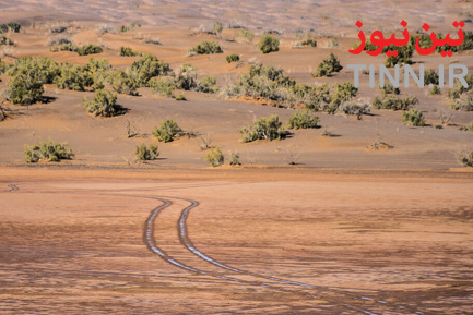 ریگ جن